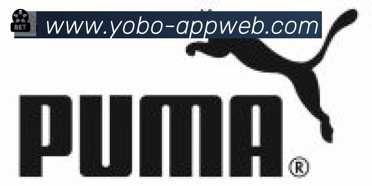 yobo体育合作伙伴